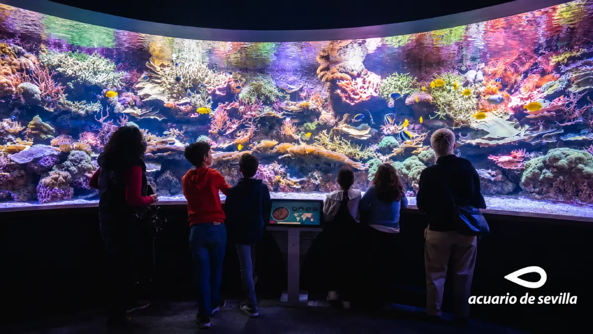 Acuario de Sevilla - Entradas y precios